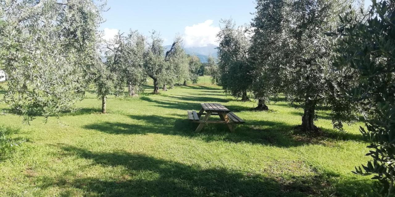 Agriturismo Fioralba Polpenazze del Garda Exterior foto